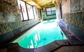 Hotel Et Spa Le Lion D'Or
