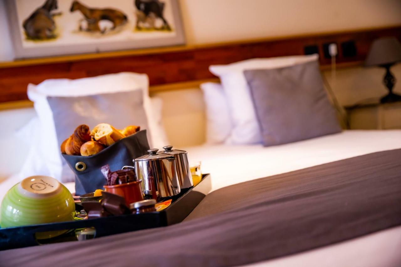 Hotel Et Spa Le Lion D'Or Pont-Évêque Esterno foto